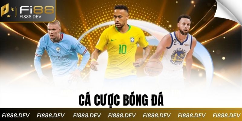 cá cược bóng đá