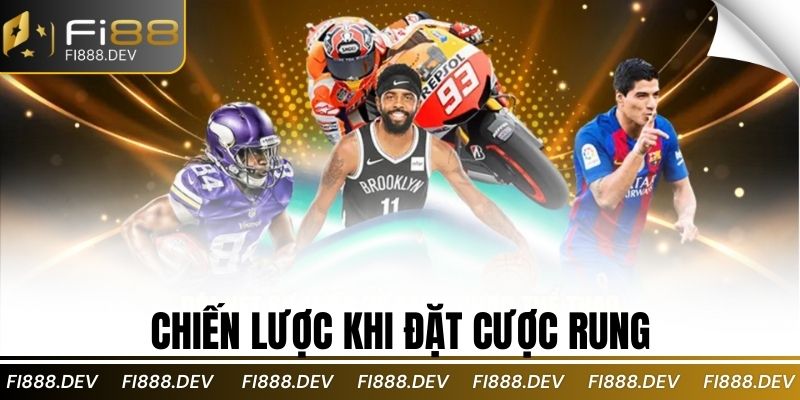 Chiến lược khi đặt cược rung