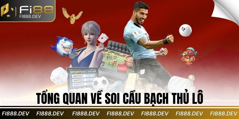 Tổng quan về soi cầu bạch thủ lô